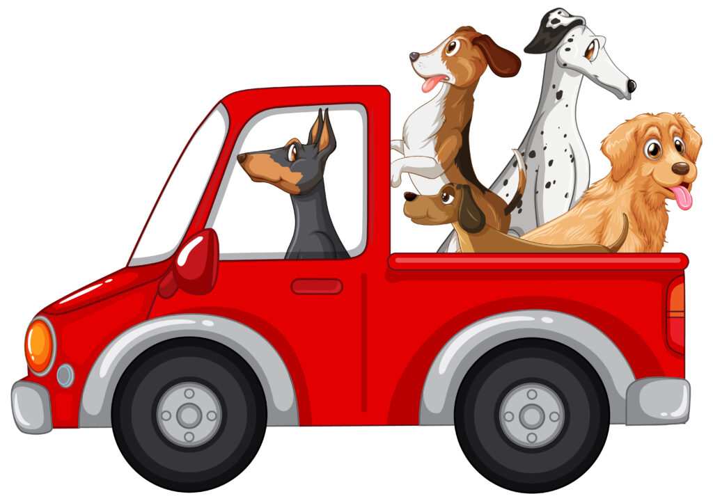 delivery-service-nz-wide